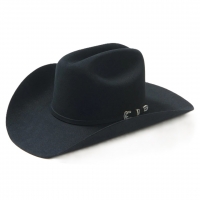 Palarie din fetru de blana Skyline 6X Western - Stetson